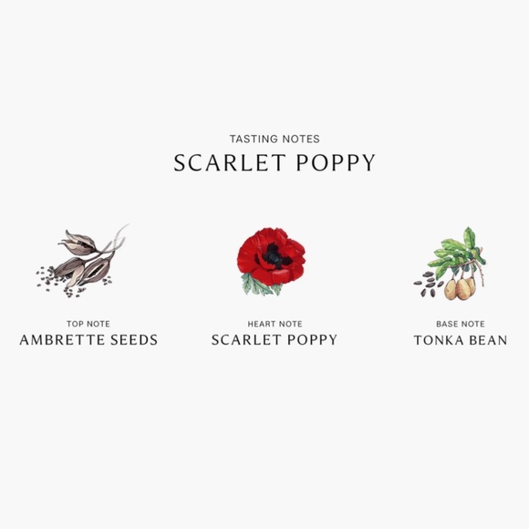 JO MALONE | Scarlet Poppy Intense - Picture 2 of 2
